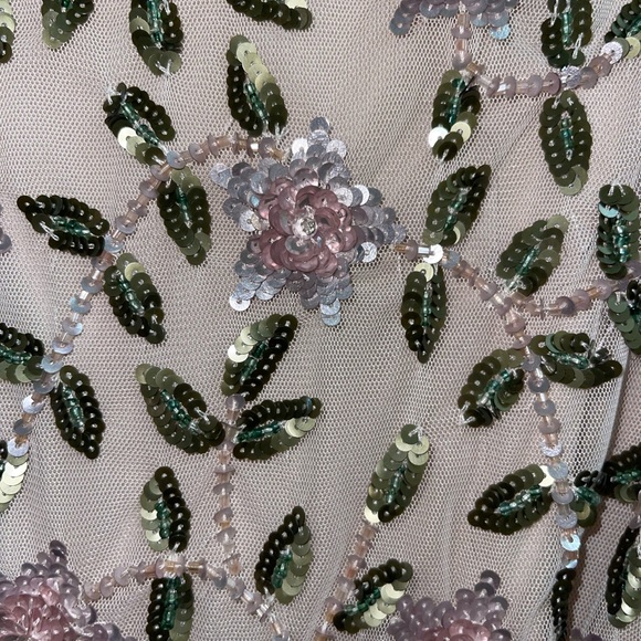 Adrianna Papell Blush and Silver Embellished Prom Dress - Picture 8 of 11